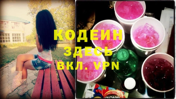 сатива Елабуга
