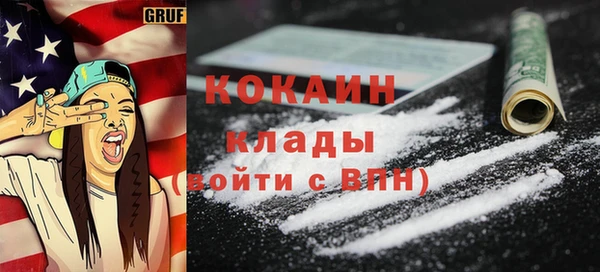 сатива Елабуга