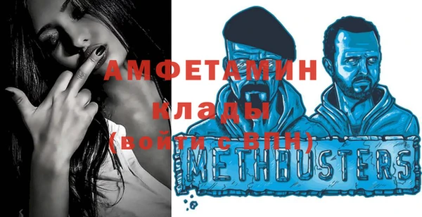 сатива Елабуга