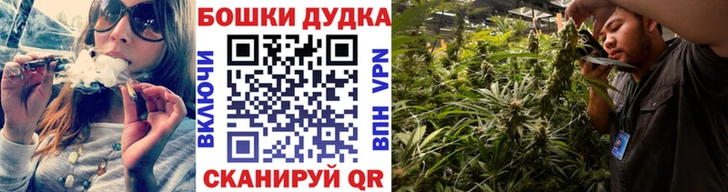 Бошки Шишки конопля  Купить закладки  Лесосибирск 